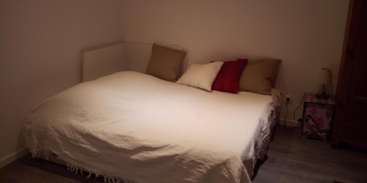 Studio Avec Jardin Au Pied Du Revard Dans Villa 엑스레뱅 외부 사진